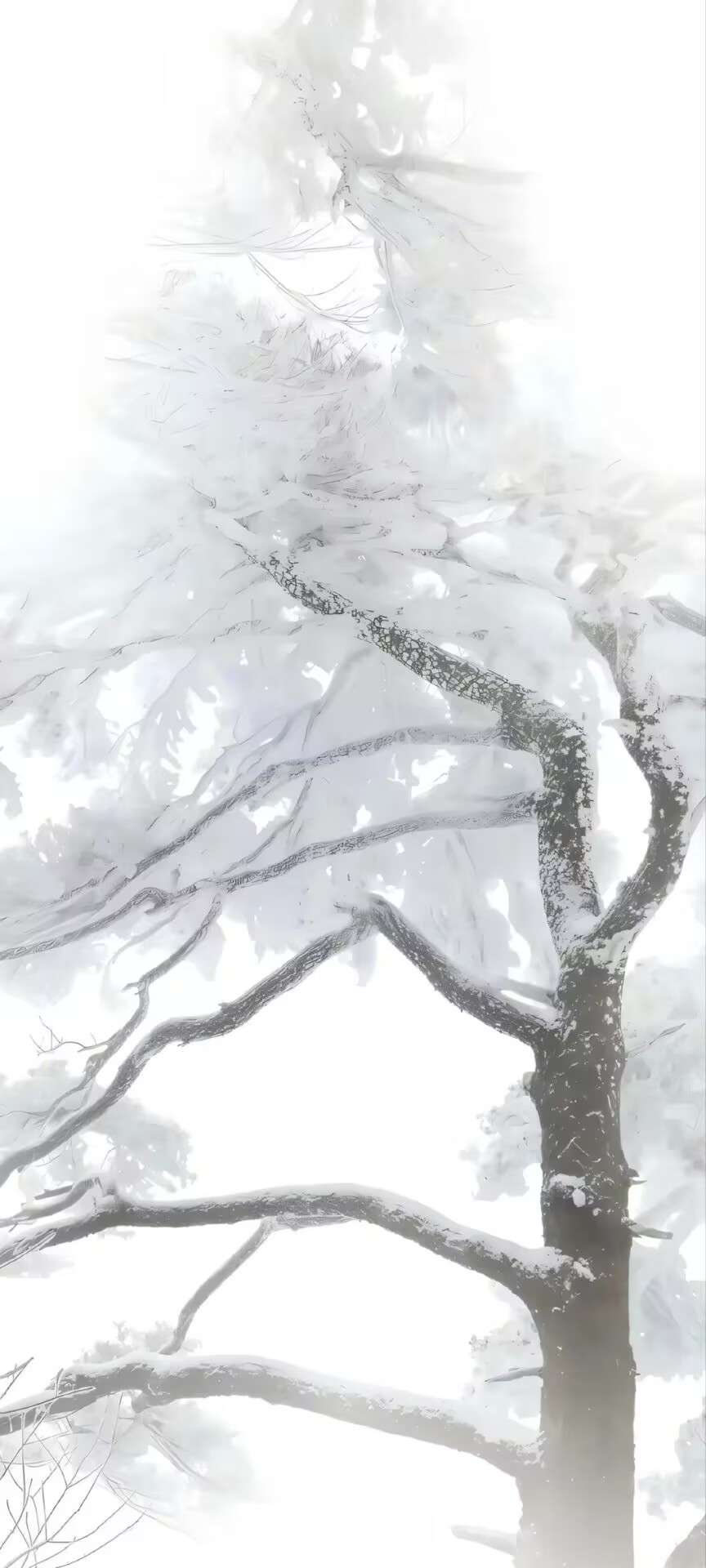背景图